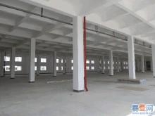 急出租东港经济开发区2600平米全框架结构厂房