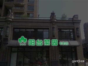 巴黎都市广场商铺转让