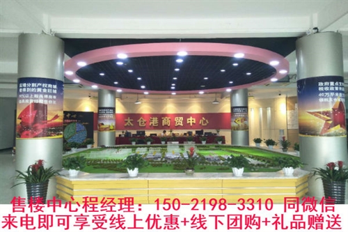 太仓港商贸中心怎么这么火？《项目讲解-分析》