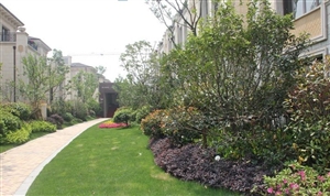 金隅江城府样板园区实景图（2012.5.10）