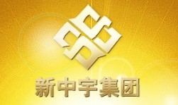 新中宇集团