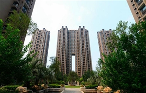 东海柠檬郡三期